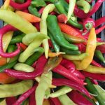 pikantni-tajemstvi-dlouhovekych-co-maji-chilli-papricky-pro-vase-zdravi.jpg