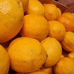 tajemstvi-mrazeneho-citronu-co-ztracite-kdyz-to-nedelate.jpg